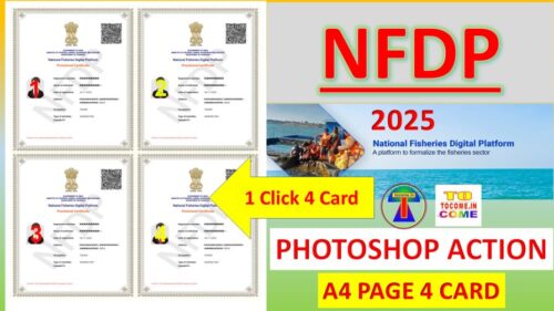national fisheries digital platform certificate print kaise karen photoshop action 4 card print a4 page action