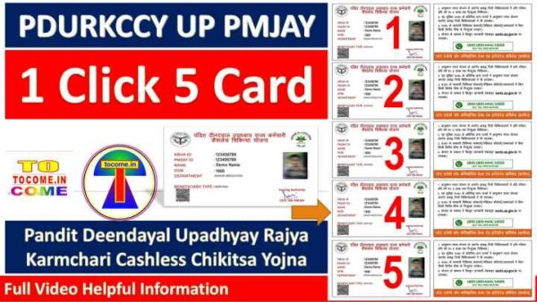 pdurkccy-5-card-THUMB.jpg 1 CLICK 5 PDURKCCY UP PMJAY PRINT PHOTOSHOP ACTION DOWNLOAD BY TOCOME pdurkccy card Pandit Deendayal Upadhyay Rajya Karmchari Cashless Chikitsa Yojna 1 CLICK ACTION PRINT CARD