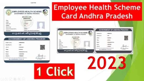 EMPLOYEE HEALTH SCHEME CARD GOVERNMENT OF ANDRA PRADESH 1 CLICK PRINT EMPLOYEE HEALTH SCHEME CARD PHOTOSHOP ACTION DOWNLOAD